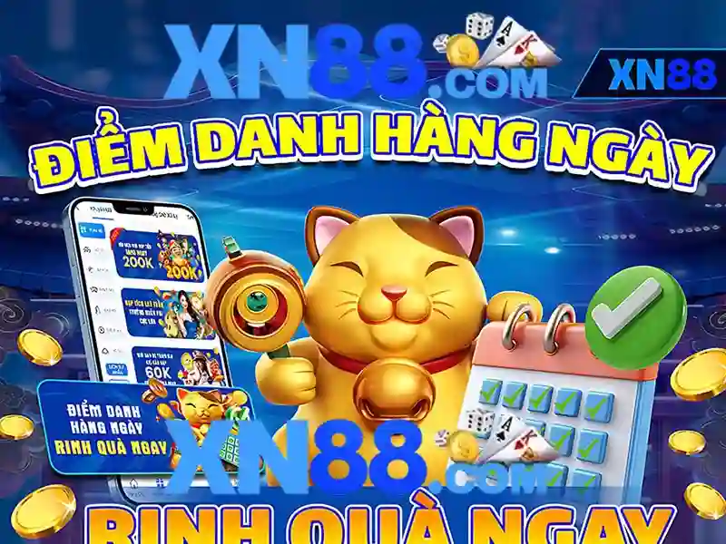 Trải nghiệm người dùng và phản hồi của cộng đồng