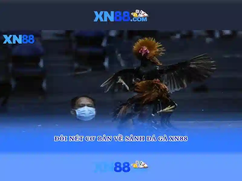 Tóm tắt tool xn88