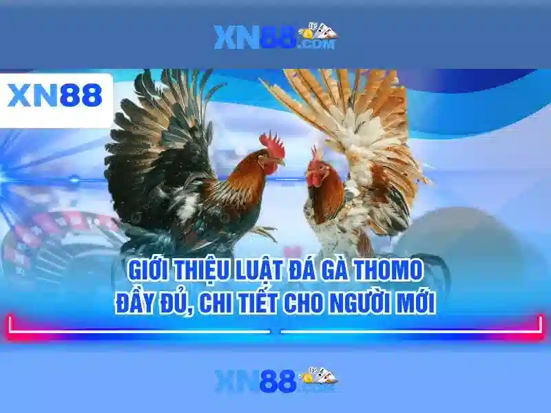 Khuyến mãi và cách đăng ký