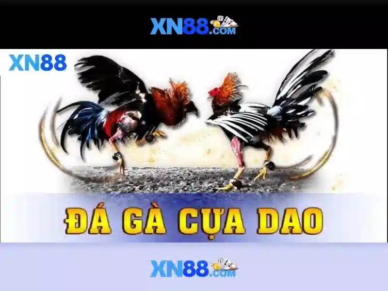 Khía cạnh an toàn và trách nhiệm khi chơi trên XN88