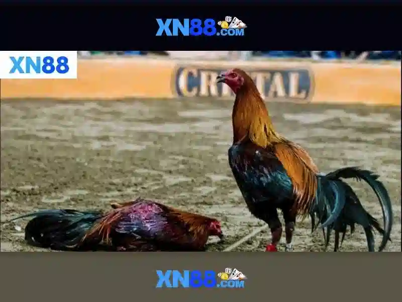Mẹo chơi bắn cá 3 cây dễ ăn tiền nhà cái