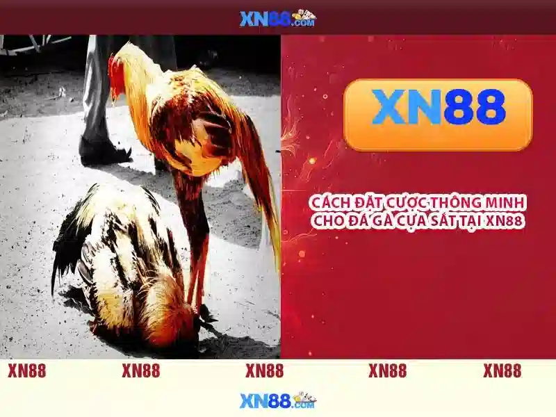 Mẹo chơi bắn cá 3 cây dễ ăn tiền nhà cái
