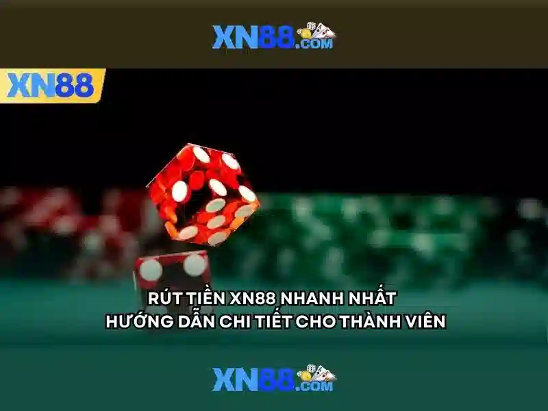 Trải nghiệm người dùng và phản hồi cộng đồng
