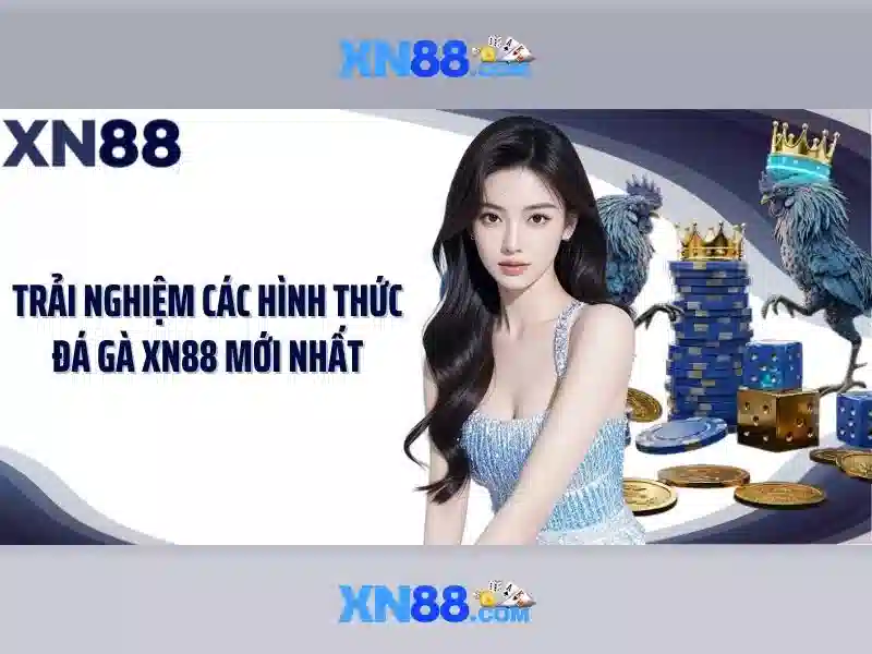 các sản phẩm và dịch vụ của xn88 bet live