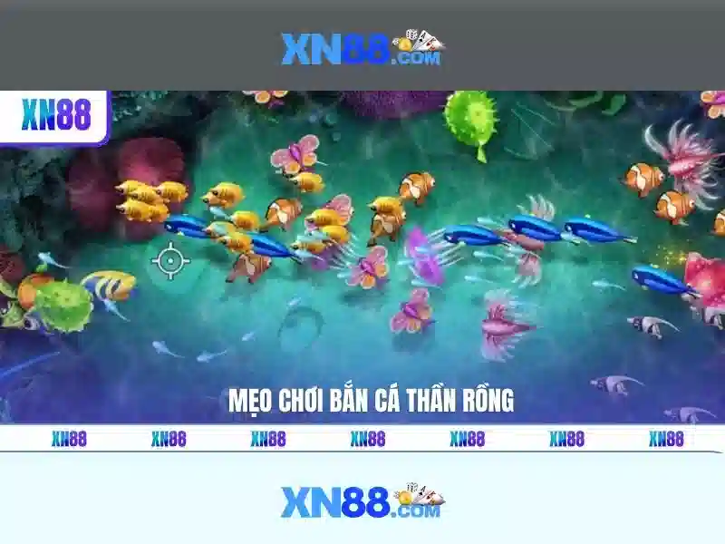 xn88 trong kỷ nguyên số