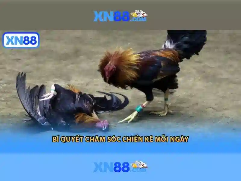 Hỗ trợ khách hàng và thanh toán<h2 class=