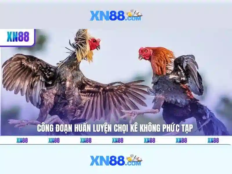 Mẹo chơi bắn cá 3 cây dễ ăn tiền nhà cái