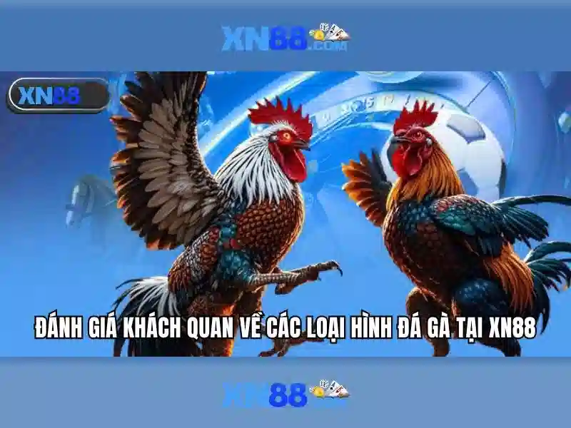 Giao-dien-xn88-app-tong-quan
