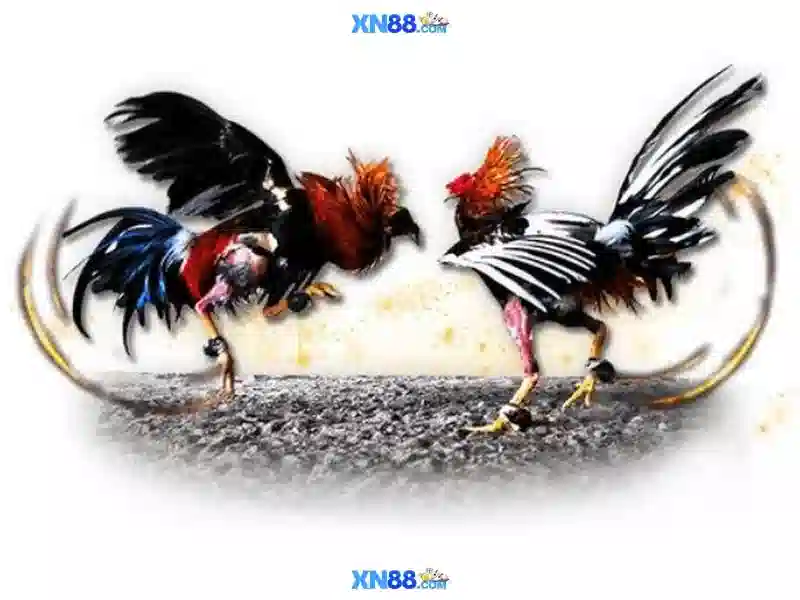 Cách tham gia và đăng ký\n\n<h2 class=