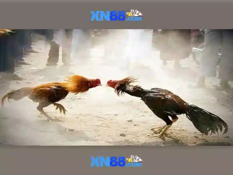 Các trò chơi nổi bật tại xn88