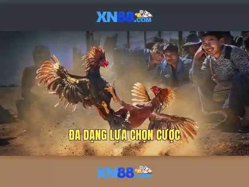 Hỗ trợ khách hàng và trải nghiệm người dùng\n\n<h>Cam kết pháp lý và trách nhiệm người chơi</h>\n<p><span style=