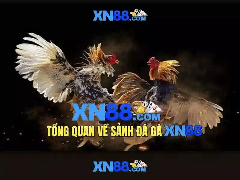 Lịch sử và nguồn gốc