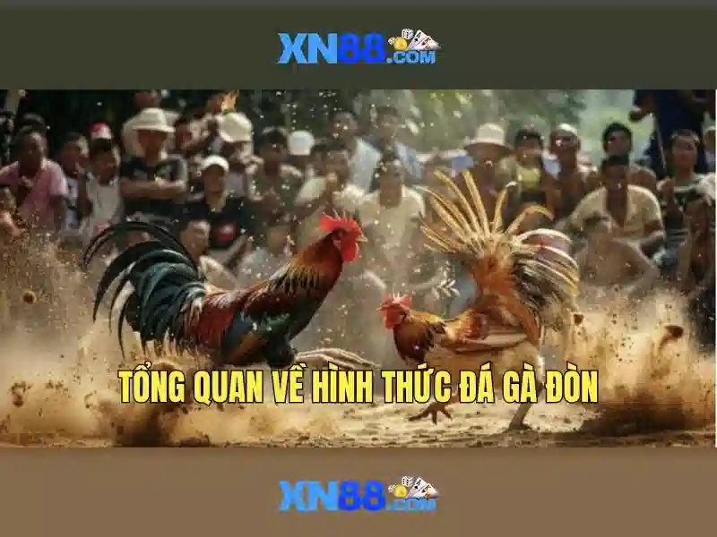 Giới thiệu về xn88
