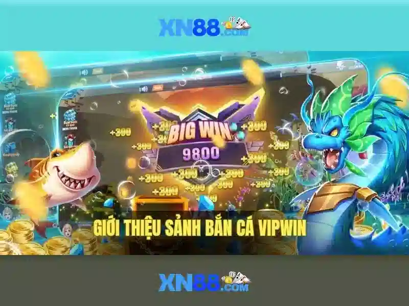 Cách tham gia và trải nghiệm người dùng