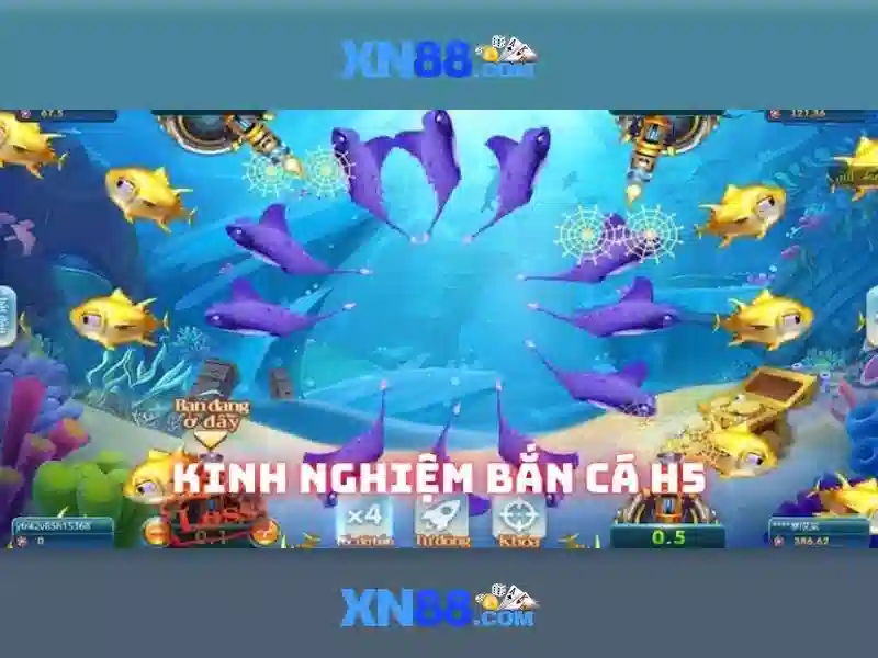 Kết luận