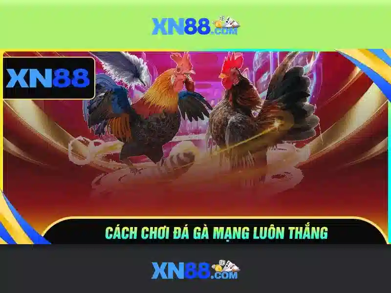 Cách tham gia và tận dụng tối đa xn88\n<p><span style=