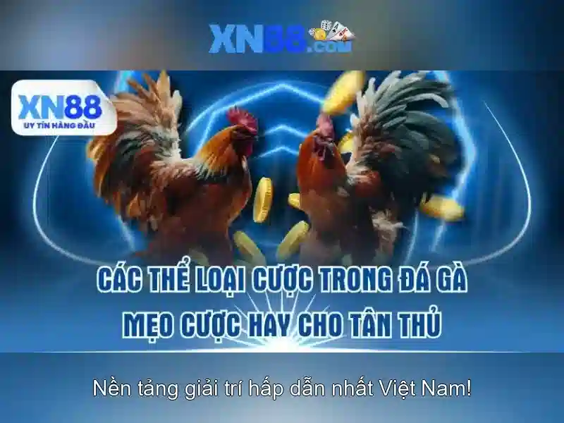 Mẹo chơi bắn cá 3 cây dễ ăn tiền nhà cái