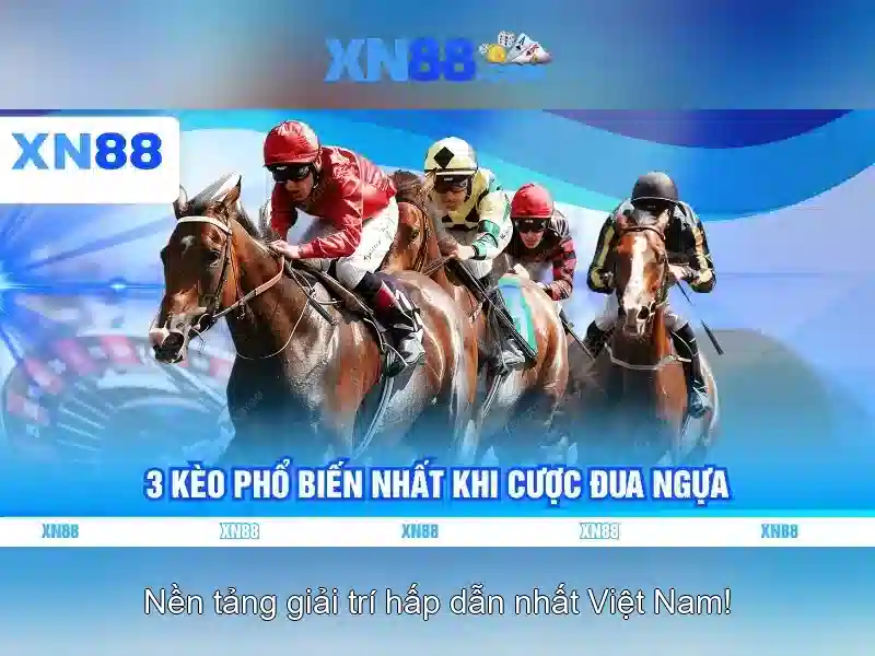 Dịch vụ và sản phẩm