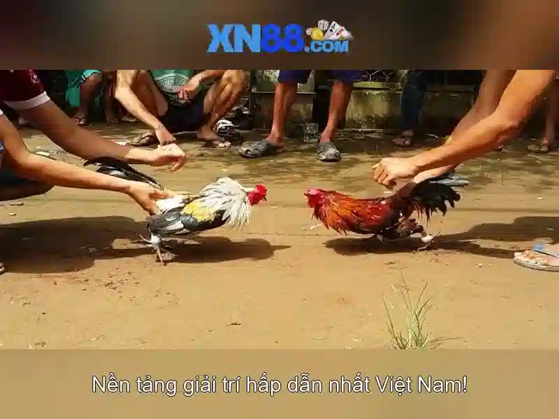Mẹo chơi bắn cá 3 cây dễ ăn tiền nhà cái