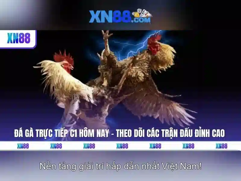 An toàn và bảo mật