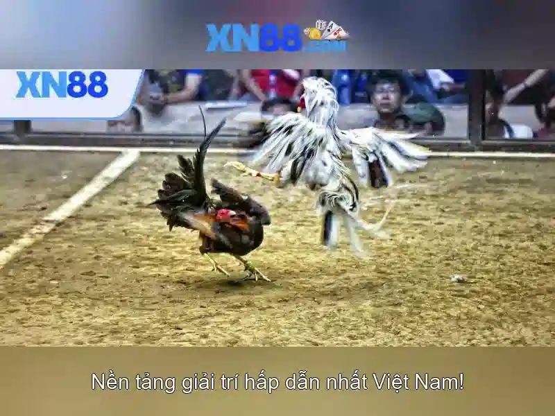 Lợi ích của xn88