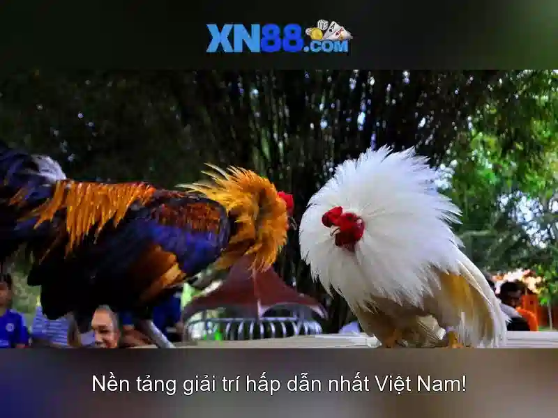 Cac tinh nang cua tool xn88