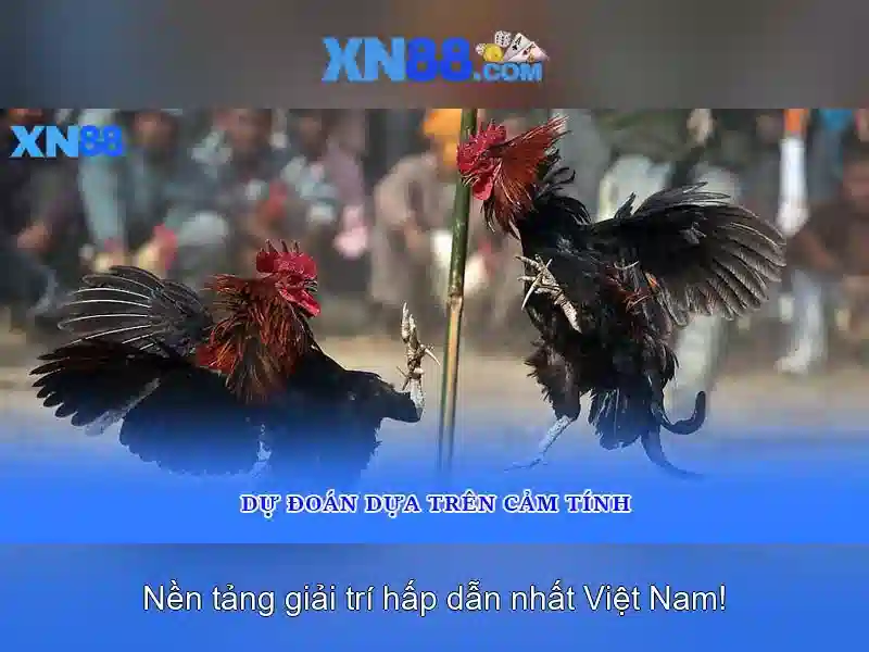 Giao diện và trải nghiệm người dùng