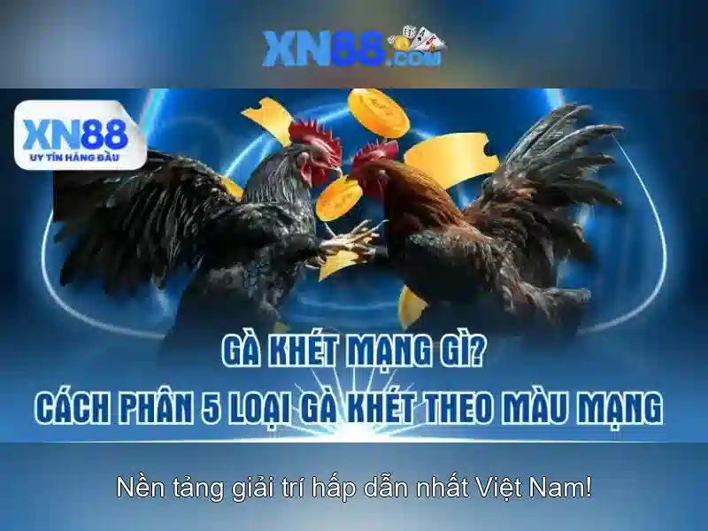 Mẹo chơi bắn cá 3 cây dễ ăn tiền nhà cái