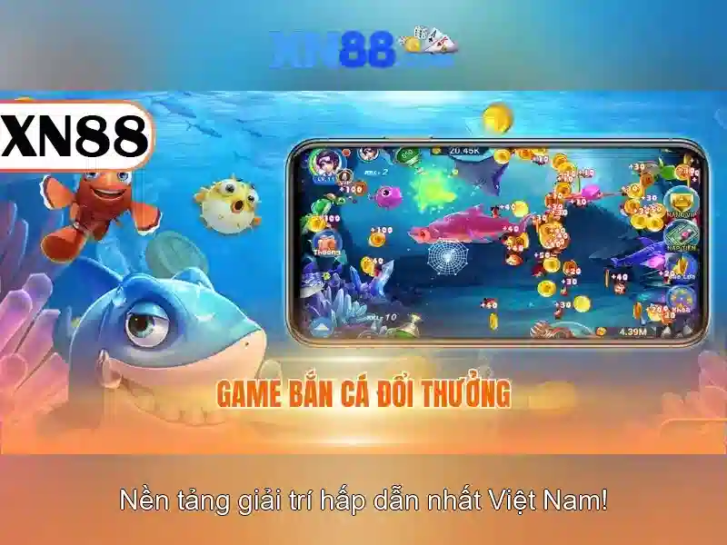 Nền tảng và chức năng