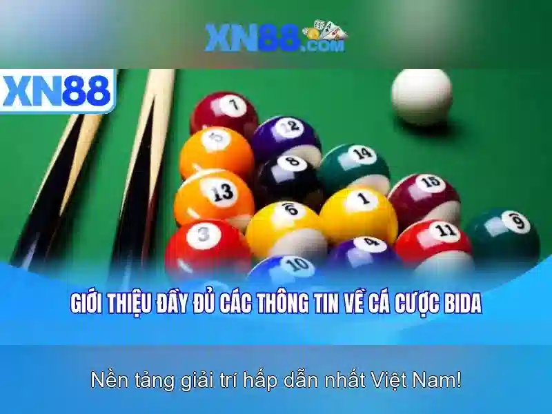 Giao diện và trải nghiệm người dùng