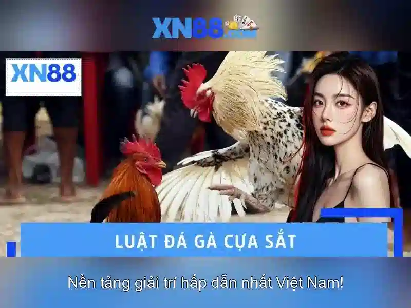 Giới thiệu xn88