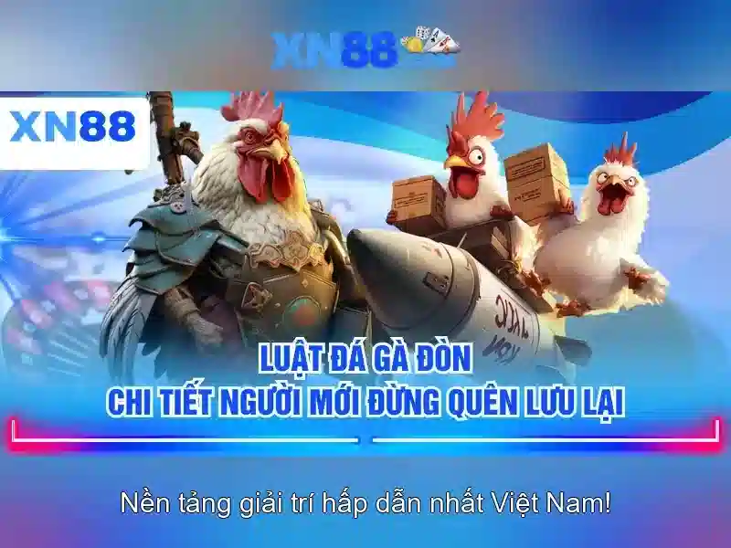 Giới thiệu về xn88