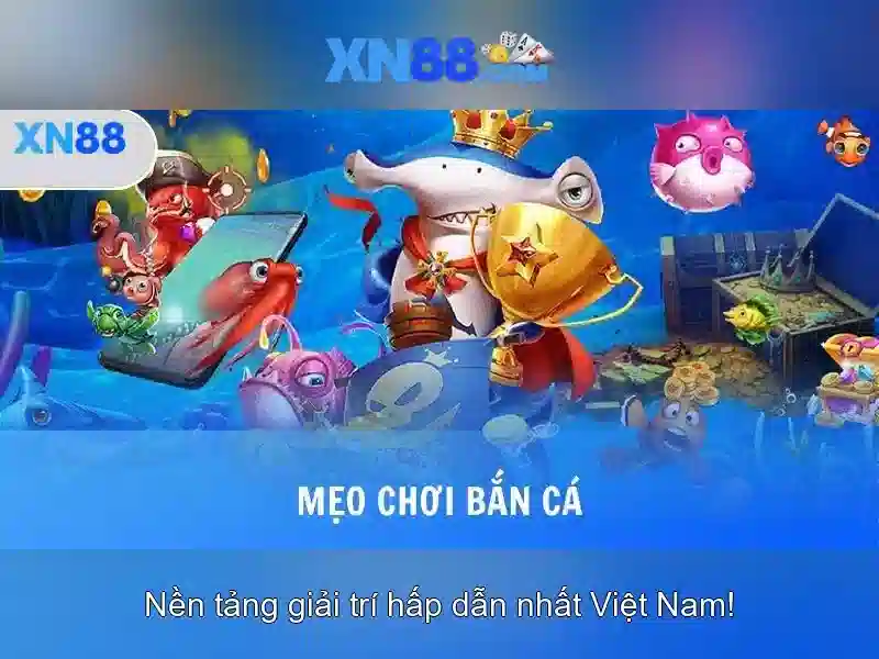 Chính sách an toàn và pháp lý\n