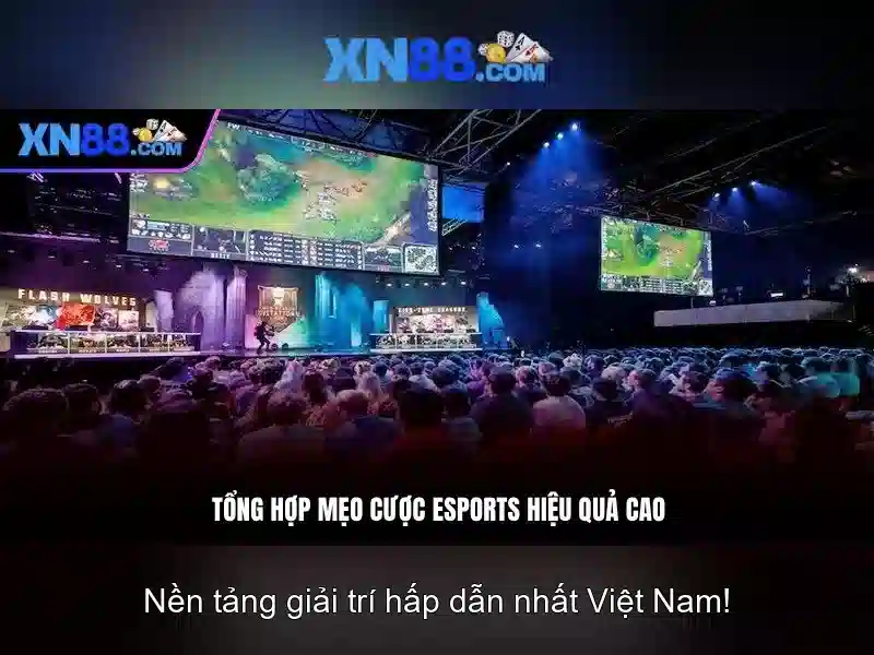 Giới thiệu về xn88