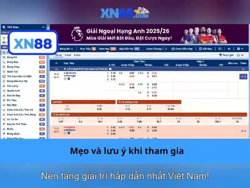 Các đặc điểm nổi bật