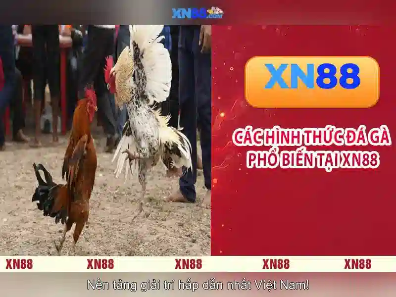 Nguồn gốc và sứ mệnh xn88 jpn.com