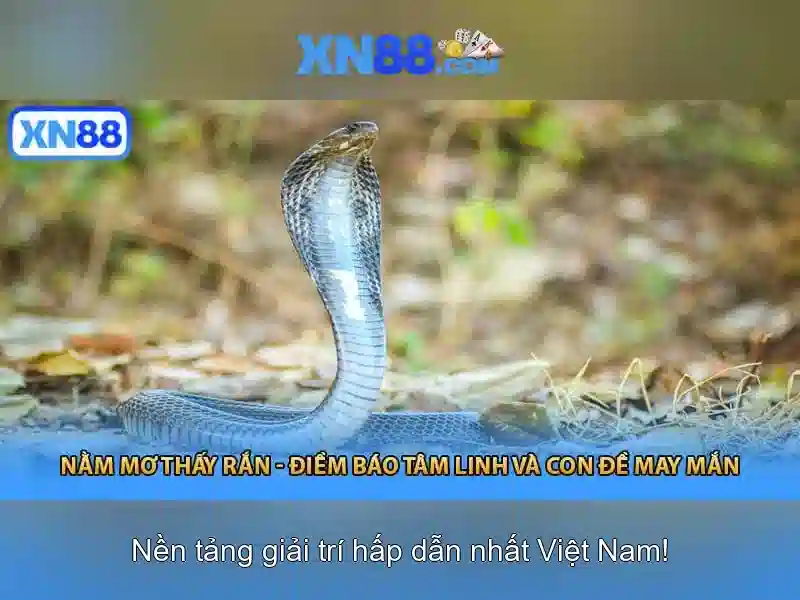 Giới thiệu về xn88