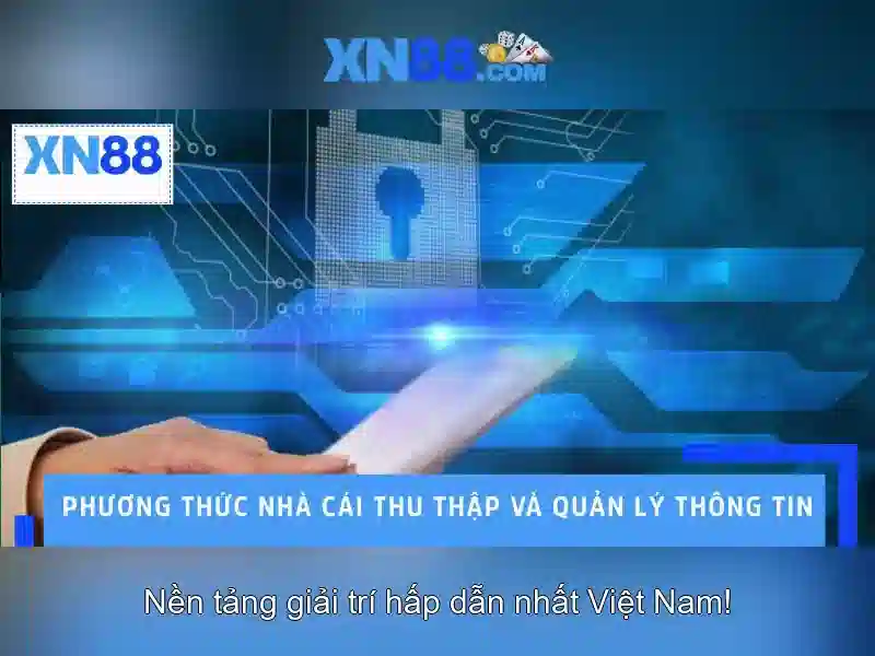 Góc nhìn người chơi và nhà đầu tư