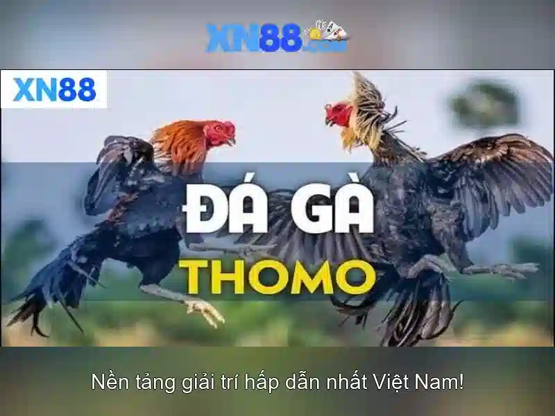 Khuyến mãi và ưu đãi