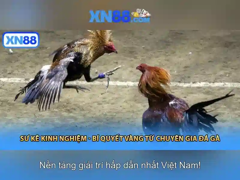 Sản phẩm và dịch vụ cốt lõi của xn88 app