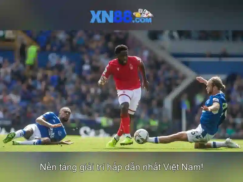 Lịch sử và phát triển