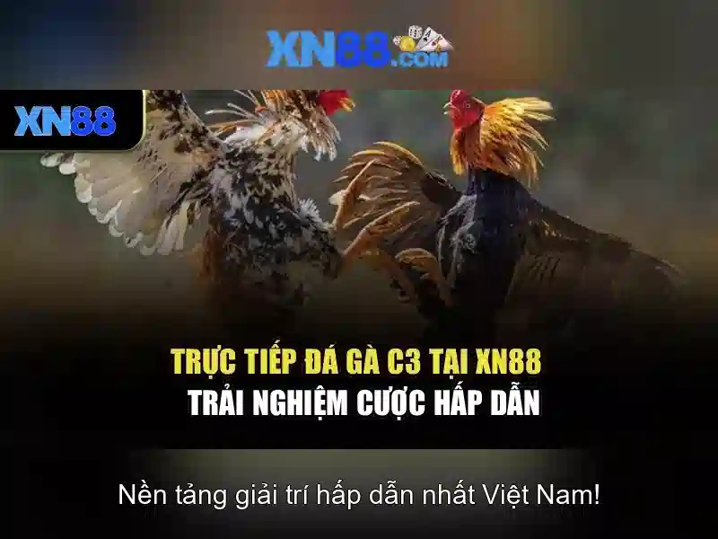 An toàn và bảo mật