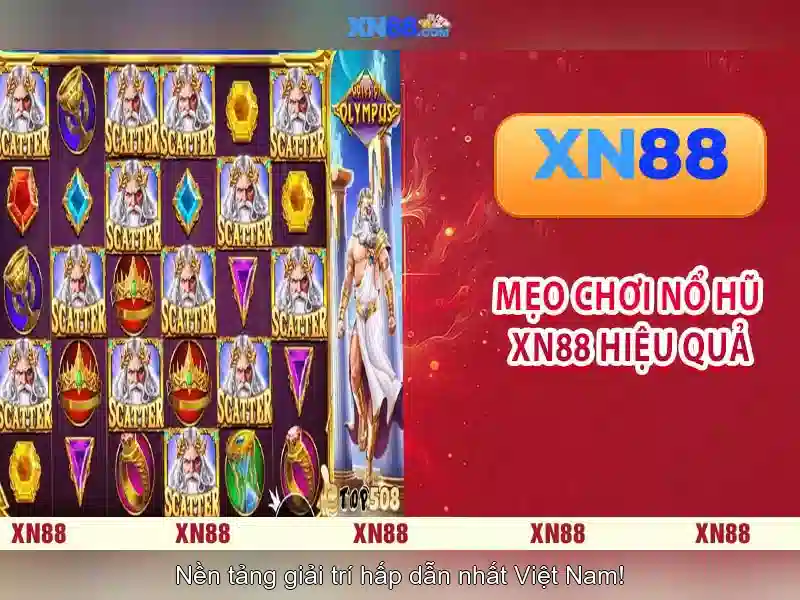 Nền tảng và giao diện người dùng