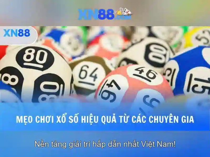Cách tham gia và trải nghiệm<h>Hỗ trợ và kết nối cộng đồng</h><p><span style=