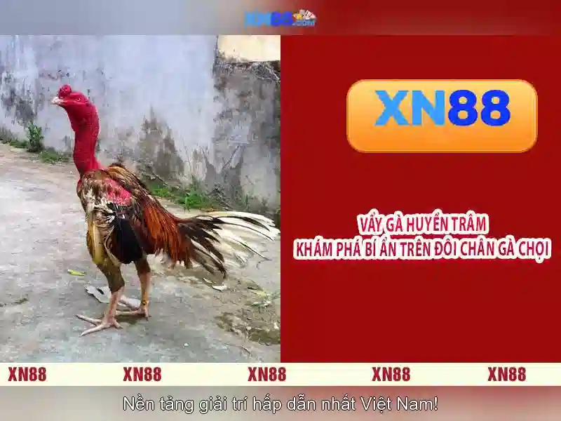 Nguồn gốc và sứ mệnh
