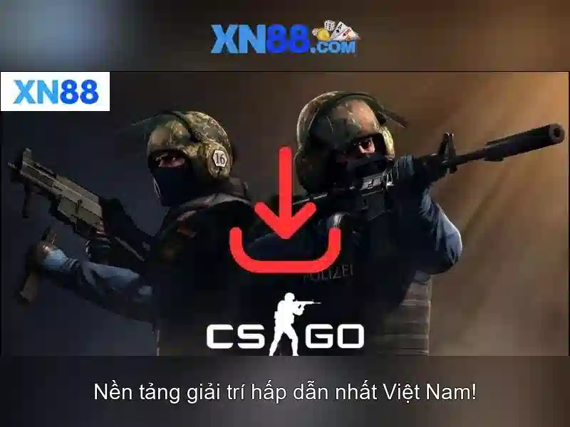 Nền tảng và sản phẩm