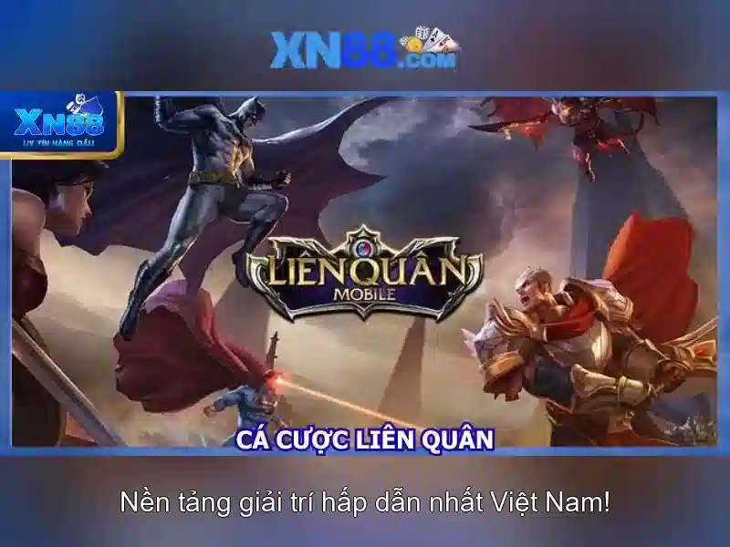 Liên hệ và hợp tác