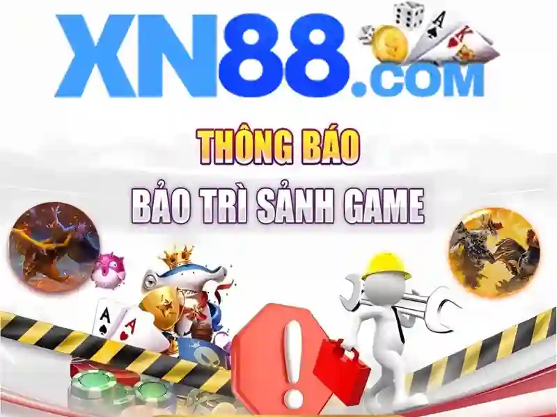 Hướng phát triển và tầm nhìn tương lai