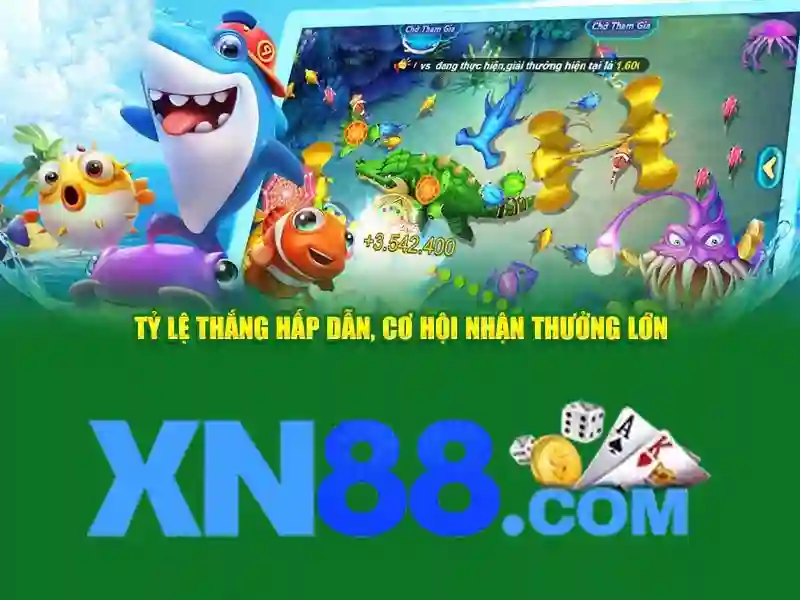 Trải nghiệm người dùng và phản hồi cộng đồng