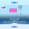 xn88 - Tổng quan về nền tảng cá cược trực tuyến